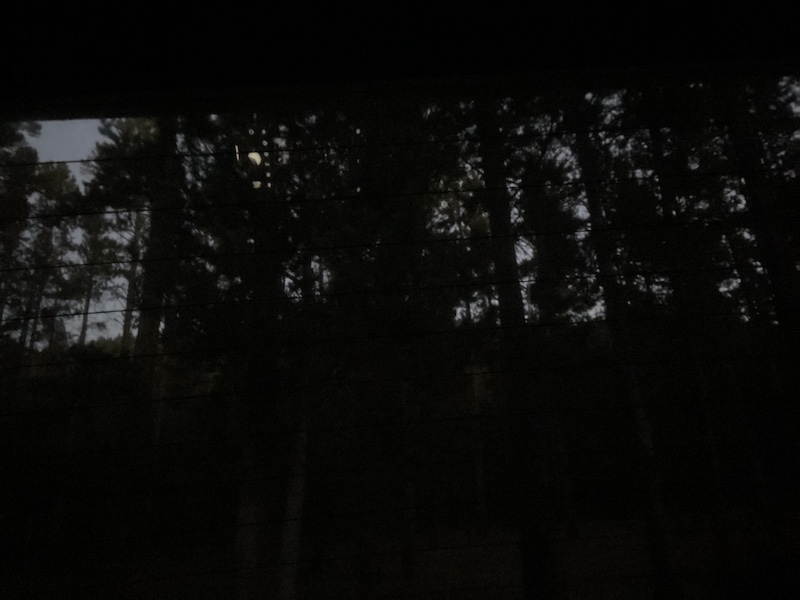 Why I Camp